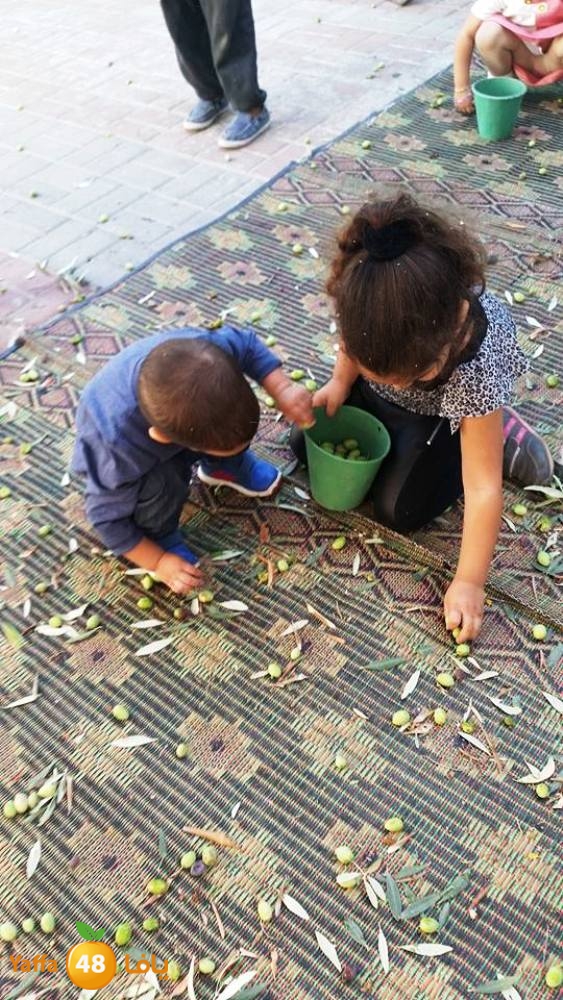 alkeram zatoon3 (19).jpg